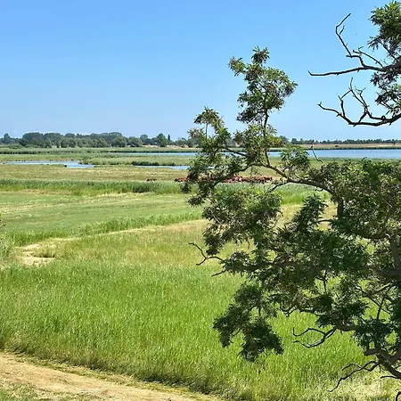 Διαμέρισμα 